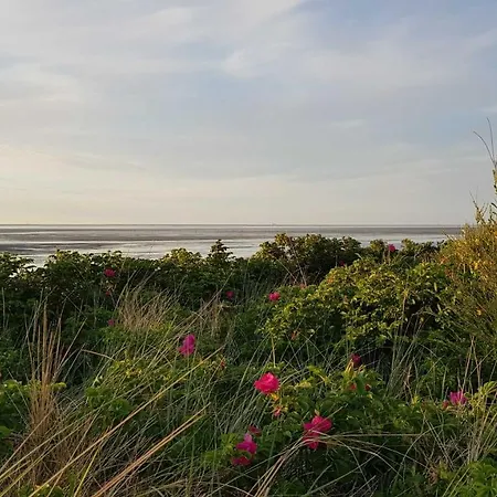 Apartment Residenz Najade